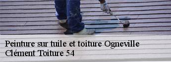 Peinture sur tuile et toiture  ogneville-54330 Clément Toiture 54