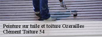 Peinture sur tuile et toiture  ozerailles-54150 Clément Toiture 54