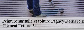 Peinture sur tuile et toiture pagney-derriere-barine-54200 Clément Toiture 54