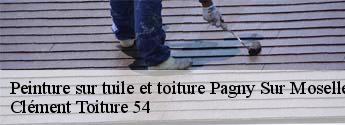Peinture sur tuile et toiture  pagny-sur-moselle-54530 Clément Toiture 54