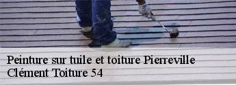 Peinture sur tuile et toiture  pierreville-54160 Clément Toiture 54