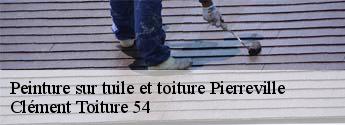 Peinture sur tuile et toiture pierreville-54160 Clément Toiture 54