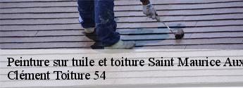 Peinture sur tuile et toiture  saint-maurice-aux-forges-54540 Clément Toiture 54