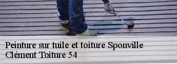 Peinture sur tuile et toiture  sponville-54800 Clément Toiture 54