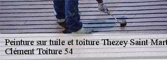 Peinture sur tuile et toiture thezey-saint-martin-54610 Clément Toiture 54