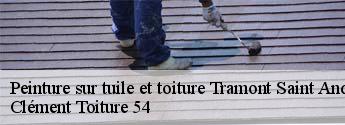 Peinture sur tuile et toiture tramont-saint-andre-54115 Clément Toiture 54