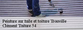Peinture sur tuile et toiture tronville-54800 Clément Toiture 54