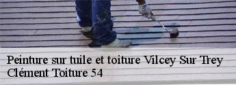 Peinture sur tuile et toiture  vilcey-sur-trey-54700 Clément Toiture 54