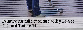 Peinture sur tuile et toiture  villey-le-sec-54840 Clément Toiture 54