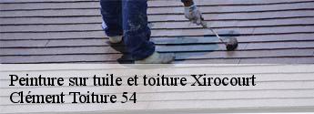 Peinture sur tuile et toiture  xirocourt-54740 Clément Toiture 54