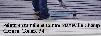 Peinture sur tuile et toiture maxeville-champ-le-boeuf-54320 Clément Toiture 54