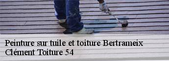 Peinture sur tuile et toiture bertrameix-54490 Clément Toiture 54