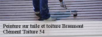 Peinture sur tuile et toiture  braumont-54260 Clément Toiture 54