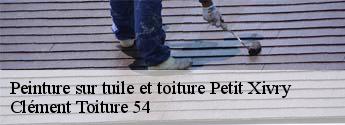 Peinture sur tuile et toiture  petit-xivry-54260 Clément Toiture 54