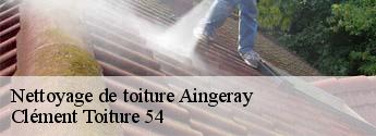 Nettoyage de toiture  aingeray-54460 Clément Toiture 54