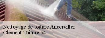 Nettoyage de toiture ancerviller-54450 Clément Toiture 54