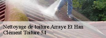 Nettoyage de toiture arraye-et-han-54760 Clément Toiture 54