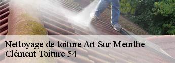 Nettoyage de toiture  art-sur-meurthe-54510 Clément Toiture 54