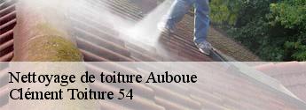 Nettoyage de toiture auboue-54580 Clément Toiture 54