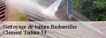 Nettoyage de toiture  badonviller-54540 Clément Toiture 54