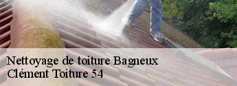 Nettoyage de toiture bagneux-54170 Clément Toiture 54