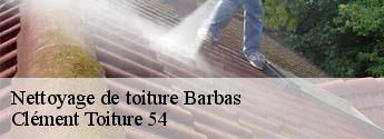 Nettoyage de toiture barbas-54450 Clément Toiture 54