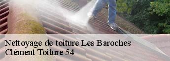 Nettoyage de toiture  les-baroches-54150 Clément Toiture 54