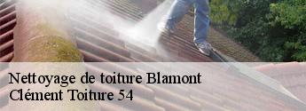 Nettoyage de toiture blamont-54450 Clément Toiture 54