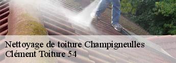 Nettoyage de toiture  champigneulles-54250 Clément Toiture 54
