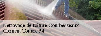 Nettoyage de toiture  courbesseaux-54110 Clément Toiture 54