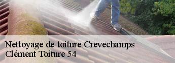 Nettoyage de toiture  crevechamps-54290 Clément Toiture 54