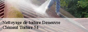 Nettoyage de toiture  deneuvre-54120 Clément Toiture 54