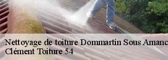 Nettoyage de toiture dommartin-sous-amance-54770 Clément Toiture 54