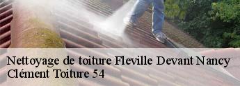 Nettoyage de toiture fleville-devant-nancy-54710 Clément Toiture 54