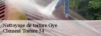 Nettoyage de toiture  gye-54113 Clément Toiture 54