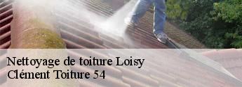 Nettoyage de toiture  loisy-54700 Clément Toiture 54