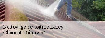 Nettoyage de toiture lorey-54290 Clément Toiture 54