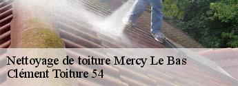 Nettoyage de toiture mercy-le-bas-54960 Clément Toiture 54