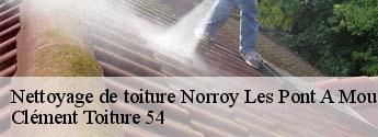 Nettoyage de toiture  norroy-les-pont-a-mousson-54700 Clément Toiture 54