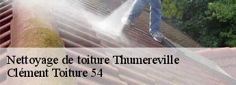 Nettoyage de toiture  thumereville-54800 Clément Toiture 54