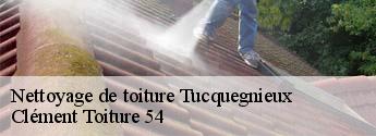 Nettoyage de toiture  tucquegnieux-54640 Clément Toiture 54