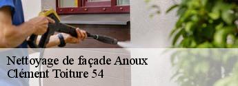 Nettoyage de façade  anoux-54150 Clément Toiture 54