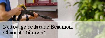 Nettoyage de façade  beaumont-54470 Clément Toiture 54