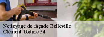 Nettoyage de façade  belleville-54940 Clément Toiture 54