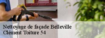 Nettoyage de façade  belleville-54940 Clément Toiture 54