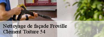 Nettoyage de façade  froville-54290 Clément Toiture 54