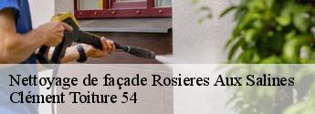 Nettoyage de façade  rosieres-aux-salines-54110 Clément Toiture 54