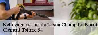 Nettoyage de façade laxou-champ-le-boeuf-54520 Clément Toiture 54
