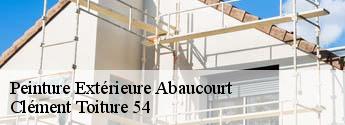Peinture Extérieure abaucourt-54610 Clément Toiture 54