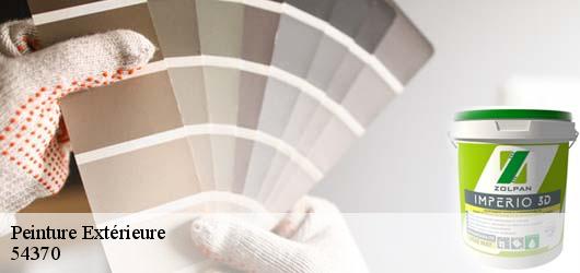 Peinture Extérieure 54370